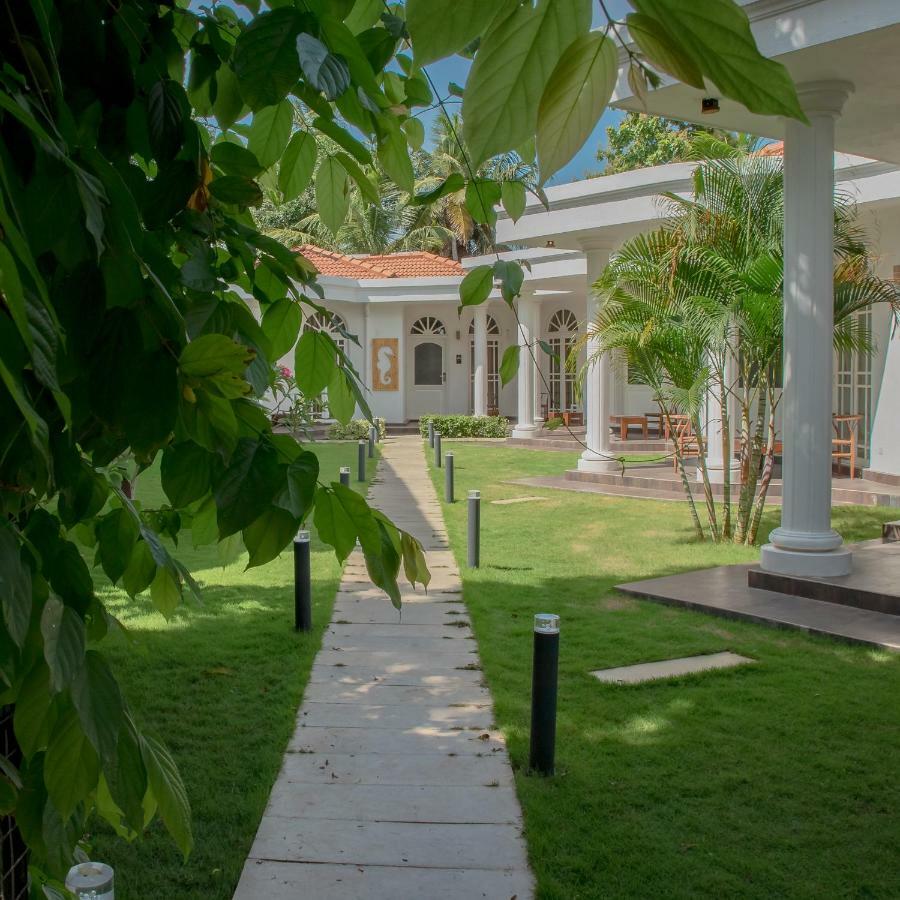 Seahorse Hotel & Spa Νεγκόμπο Εξωτερικό φωτογραφία