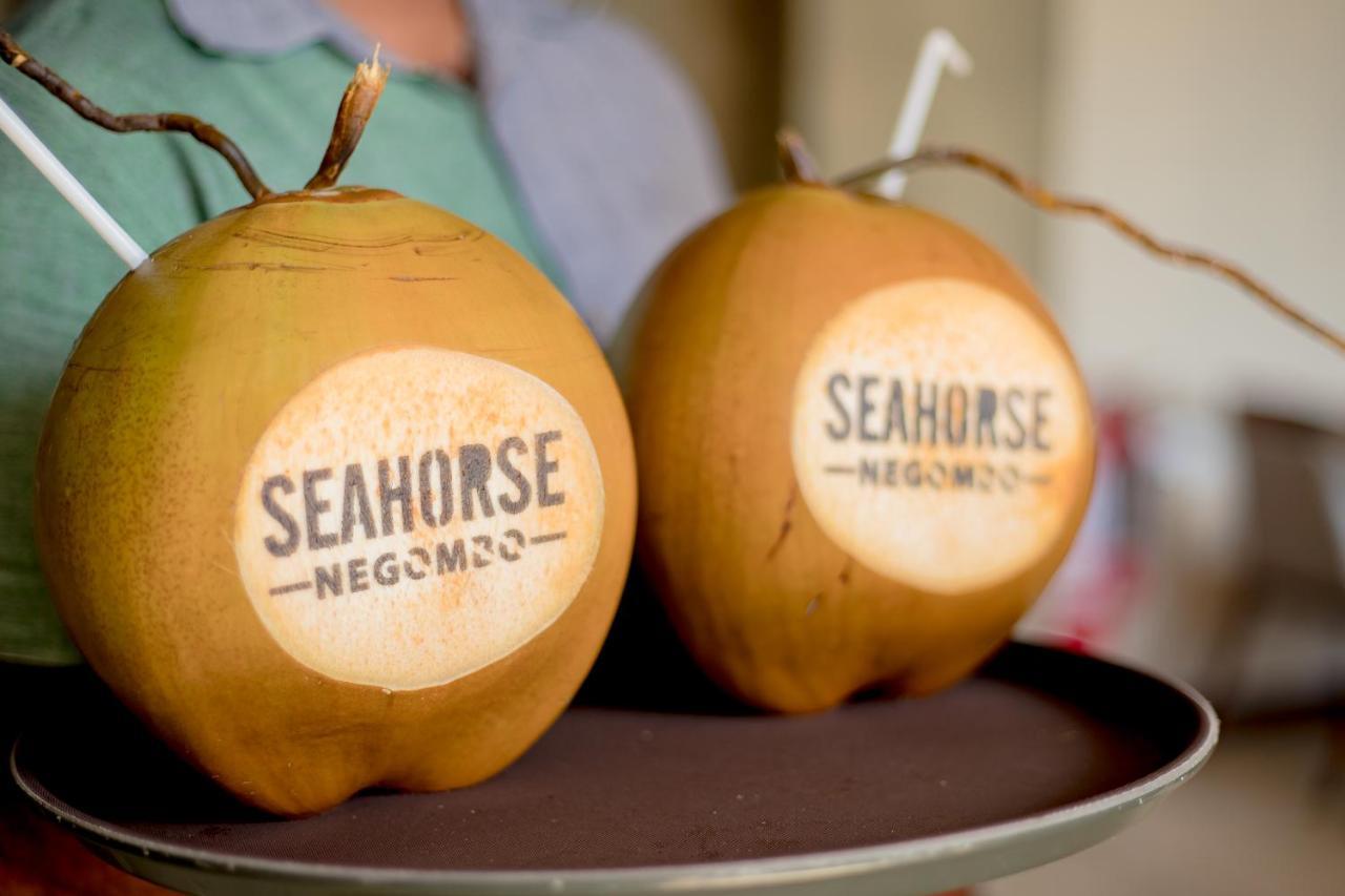 Seahorse Hotel & Spa Νεγκόμπο Εξωτερικό φωτογραφία